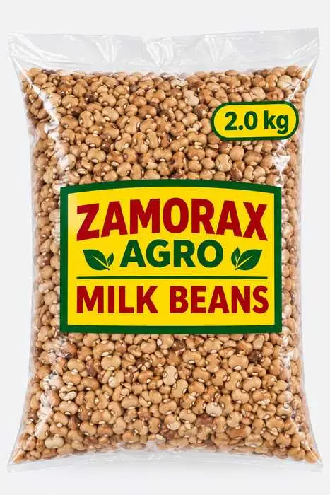 1.8kg (1 Congo) Beans Grains (Oloyin)